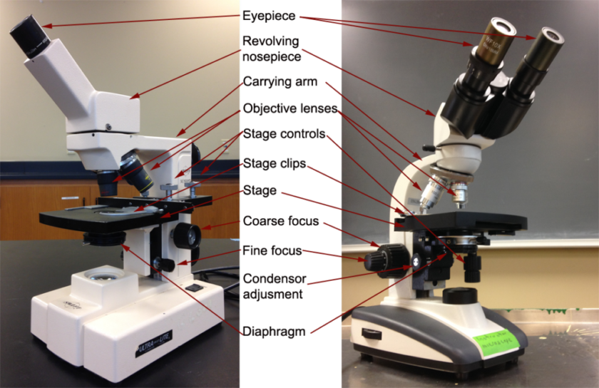 Bagian Mikroskop Beserta Fungsinya - Tambah Pinter